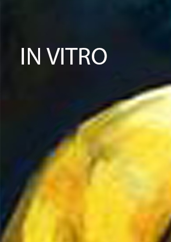 In vitro - Solo Exhibition